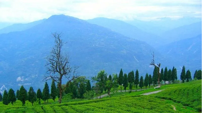 Tungai Hill Station